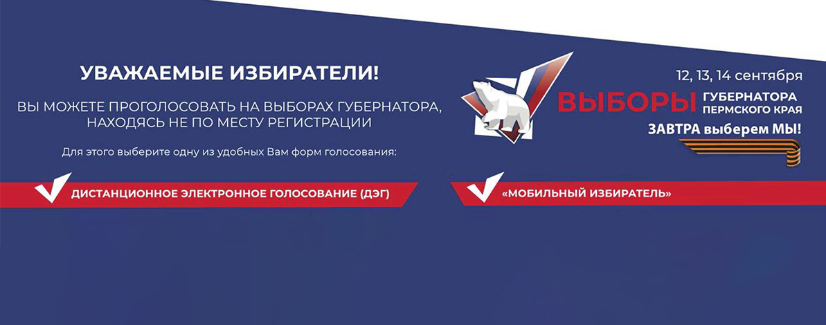 Выборы 2025