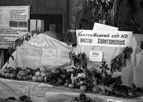 Городская выставка по плодоводству, цветоводству и пчеловодству в саду им. А.М. Горького